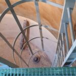 Échelle PRV à crinoline dans une cuve aux parois ocre